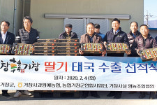 ‘거창딸기’ 올해도 태국시장 공략