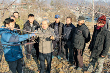 종합적 과수 재배기술 전수…농가 생산성 향상