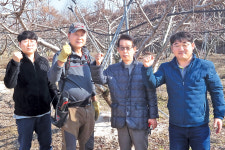 옥천농협, 복숭아 명품화 ‘박차’