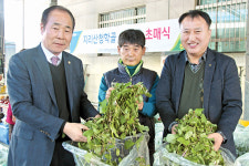 ‘봄향기 물씬’ 청학골 취나물 첫 출하