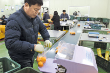 전남도 임산부 친환경농산물 공급 시동