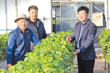 용문농협, 지역 농가 돕기 농산물 판매 앞장