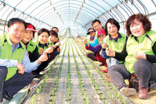 “농촌현장 누비며 일손 보태요”