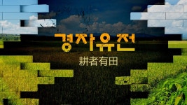비농민이 전체 168만 중 44% 보유…말뿐인 경자유전