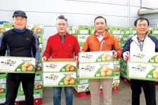 ‘지평선 광활햇감자’ 본격 출하