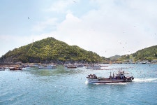 요동치는 포구의 봄, 남해 섬노래길