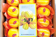 감사의 마음 ‘참외풍경’으로 전해