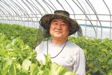 “공무원·의료진 건강해야 감염병 극복” 딸기 기부 선행