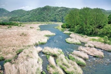 진안 감동벼룻길, 흐르는 강물처럼 초연한 마음으로…