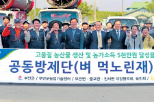 남부안농협, 벼 먹노린재 공동방제