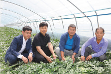 영농 지원 ‘온힘’…농가실익 ‘제고’