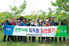 전북 남원농협, 임직원 농촌일손돕기 나서