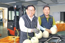 천안 특산 ‘하늘그린 멜론’ 제철 만났다