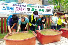 전북농협지역본부, 스쿨팜 벼 모내기 체험 진행