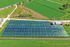 버섯재배사·축사?…실제로는 편법 ‘태양광발전’