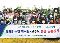 대전 북대전농협, 포도 봉지 씌우기 구슬땀