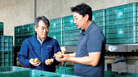 오창농협 ‘감자 소득 향상 지원사업’ 호평