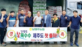 강원 남원주농협, 제주에 찰옥수수 첫 출하