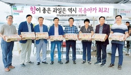 ‘어울진’ 복숭아 드라이브 스루 판매 호응