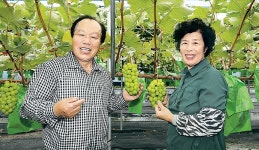 [제55회 새농민상 본상 수상자] 철탑산업훈장 - 김종문·이춘옥 부부