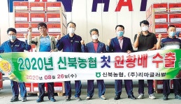 신북농협, 조생종 배 수출 활성화 ‘온힘’