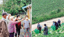 경로당 다시 폐쇄, 인력난 가중…코로나 장기화로 지쳐가는 농촌