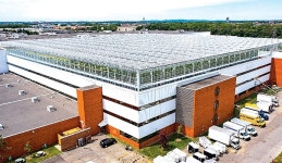 세상에서 가장 큰 옥상농장