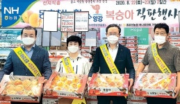 동춘천농협 ‘소양강복숭아’ 2차 직판행사 호응