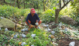 추석 앞두고 사과·배 귀한 몸…‘선별’ 관건