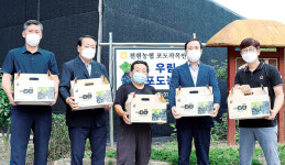 천현농협, 고품질 ‘천현꿀포도’ 인기만점