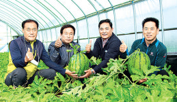 맹동농협, 유용미생물 농가 공급 호평