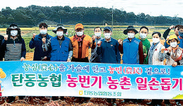 대전 탄동농협, 자매결연 농협 찾아 일손돕기