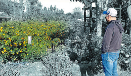 부업 뛰랴 농지 구하랴…물거품 된 ‘귀농의 꿈’