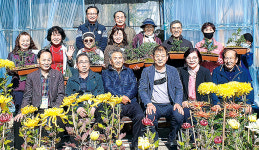 전북 익산 금마농협, 국화 재배 교육 수료식