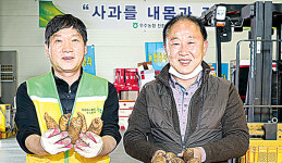 무주농협, 천마 수매 시작…값지지 온힘