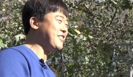 [NBS 하이라이트] 속 빨간 사과 재배하는 서보현씨, 직접 판로 개척…SNS 홍보까지