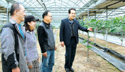 경남 김해 상동농협, 신소득작목 ‘샤인머스캣’ 재배 온힘