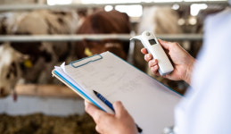 축사 68% 가축질병 위험지대 입지…도로·주거지 인접