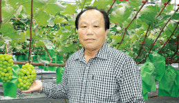 [2020 새농민상] 한가지 한송이 원칙…최고 ‘샤인머스캣’ 등극