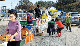 전남 진도농협, 하나로마트 순회판매 진행