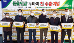 창원 동읍농협, 단감 두바이 첫 수출…중동시장 공략