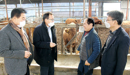 우성농협 ‘한우 수정란 이식사업’ 호평