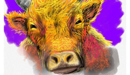 조주청의 사랑방 이야기 (348)황장군