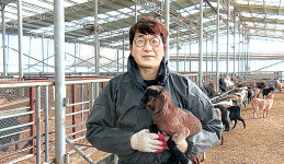 [NBS 하이라이트] 염소 가공식품 만들어 연매출 1억 올린 김홍기씨