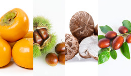 [2021 산림·임업 전망] 떫은감·밤·대추 생산량 지난해보다 늘듯