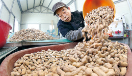 정월대보름, 우리농산물