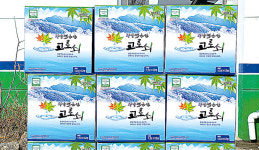 전남 광양 다압농협, 고로쇠물 완판 행진 기염