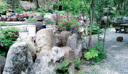 [귀농·귀촌 부동산] 조경은 ‘자연미+이야기’…살면서 완성해나가세요