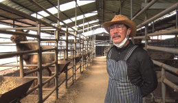 [NBS 하이라이트] 우여곡절 딛고 녹용으로 제2의 삶 열어