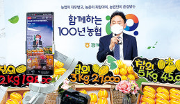 “온라인 생방송 보고 성주참외 ‘득템’했어요”